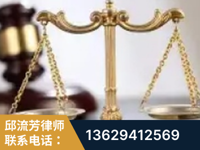 宁乡-委托诉讼代理人出庭